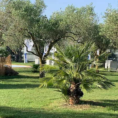 Il Bouganville-3